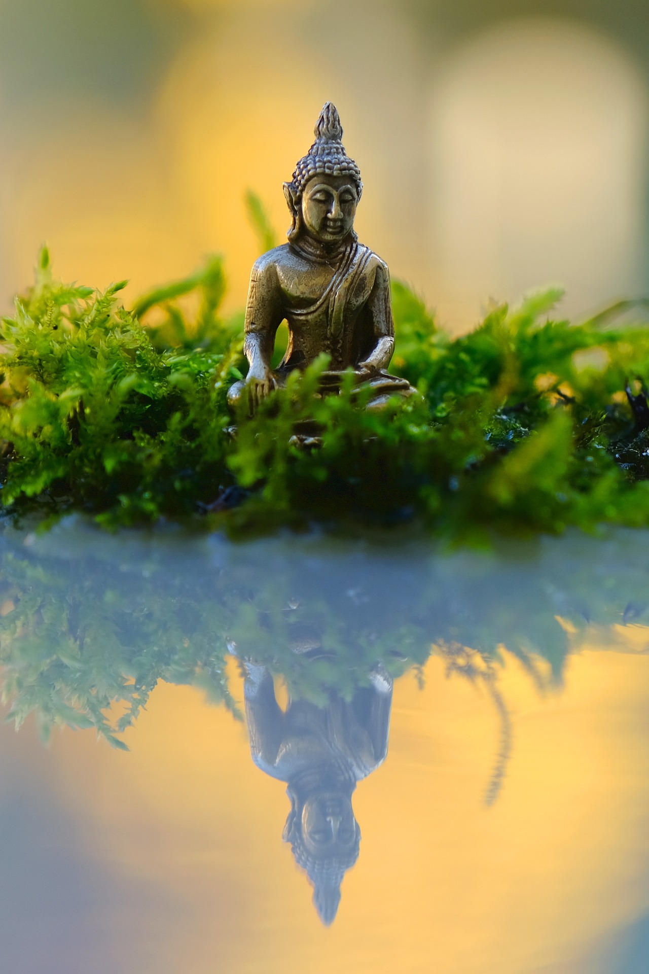 Zklidnění a meditace v józe
